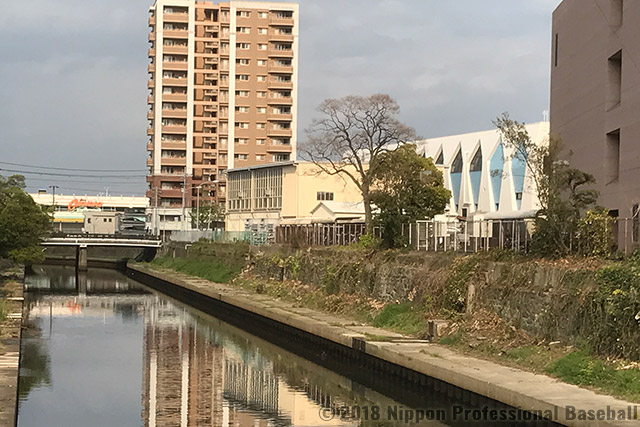 大門川に架かる橋の上から見た和歌山県立体育館
