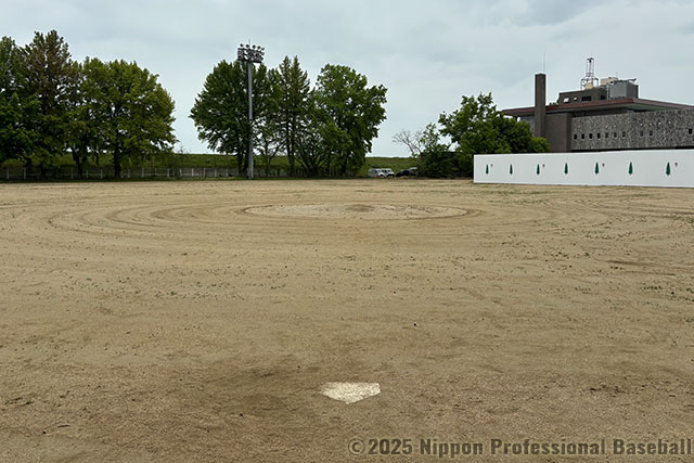 プロ野球開催時は左中間フェンスまで85.3メートル。その狭さが本塁打量産のドラマを生んだ