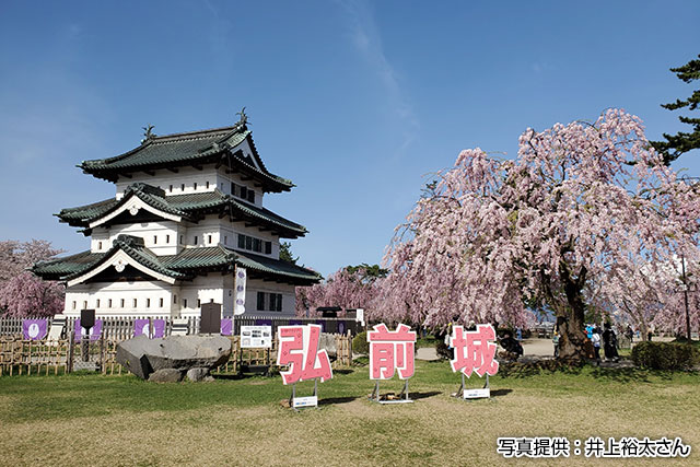 国の重要文化財に指定されている弘前城。野球場はお城がある弘前公園内に造られた