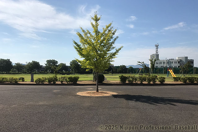 2008年夏に閉鎖され、跡地は公園と小さなグラウンドになっている