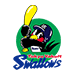 Tokyo Yakult Swallows