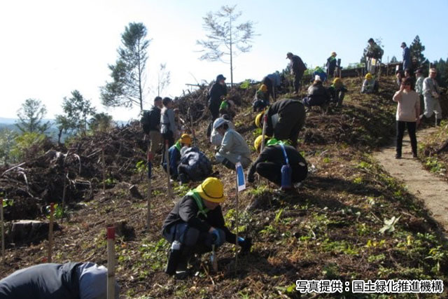 苗木づくりからはじめる「能登・復興の森づくり」