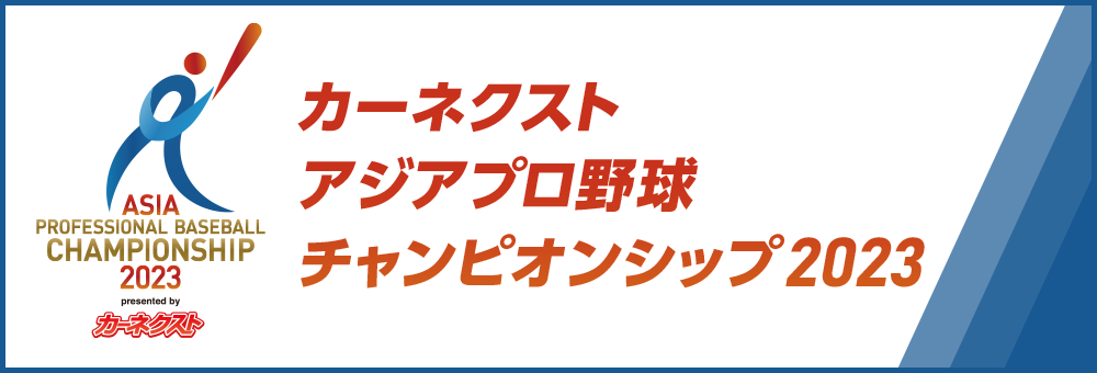 ニューストロング/NEWSTRONG スイベルアライニングボルト M12